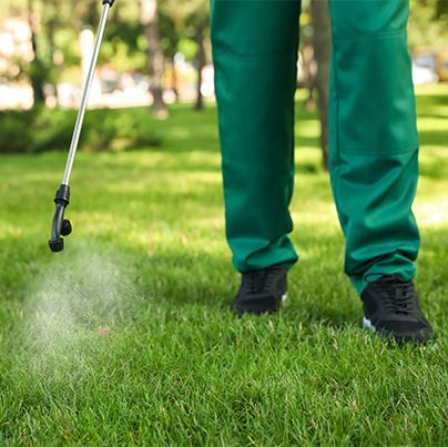 Lawn Pest Control in Owensboro | River's Edge Lawn & Landscape